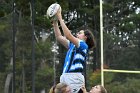 Women's Rugby vs Endicott  Wheaton Women's Rugby vs Endicott College.  Photo by Keith Nordstrom : Wheaton, Rugby, Endicott